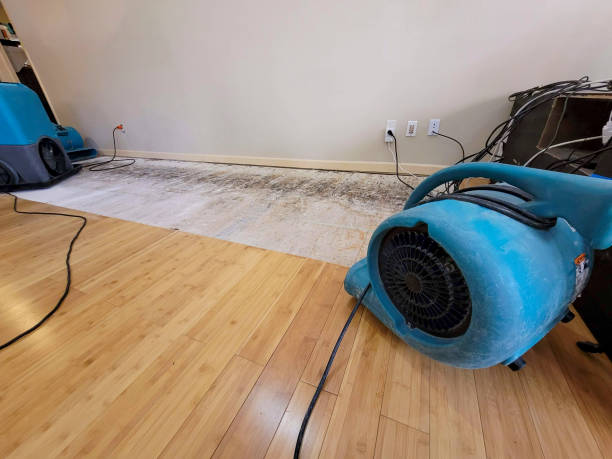 Professional Water Removal technician working in Thomasville, NC